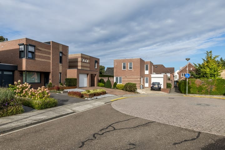 Photo 34 of Munster 4