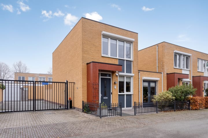 Photo 2 of Grasfonteinkruid 11