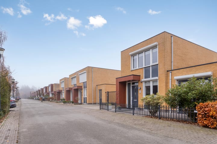 Photo 4 of Grasfonteinkruid 11