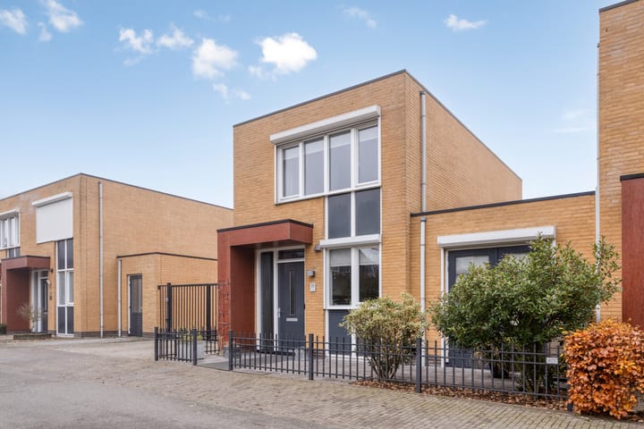 Photo 5 of Grasfonteinkruid 11