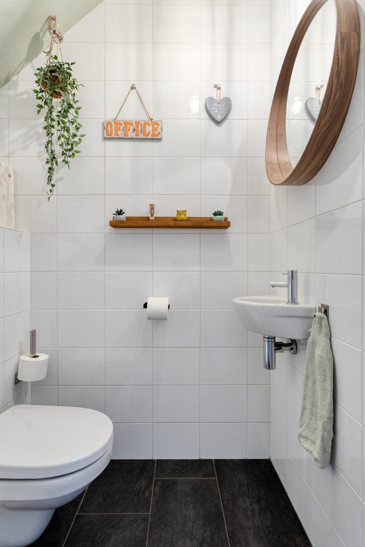 Photo 7 of Grasfonteinkruid 11