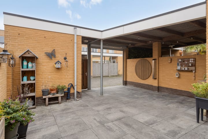 Photo 39 of Grasfonteinkruid 11