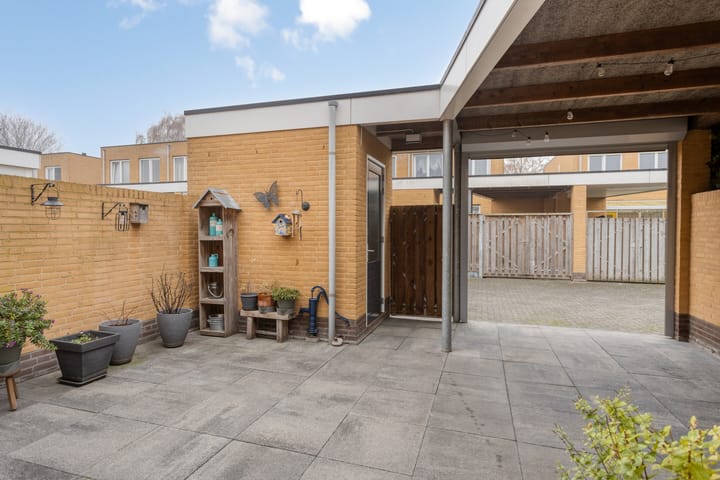 Photo 40 of Grasfonteinkruid 11