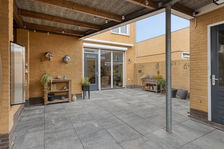 Photo 41 of Grasfonteinkruid 11