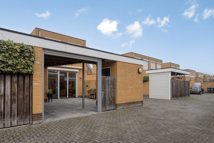 Photo 42 of Grasfonteinkruid 11