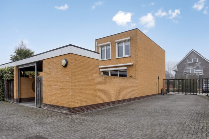 Photo 43 of Grasfonteinkruid 11