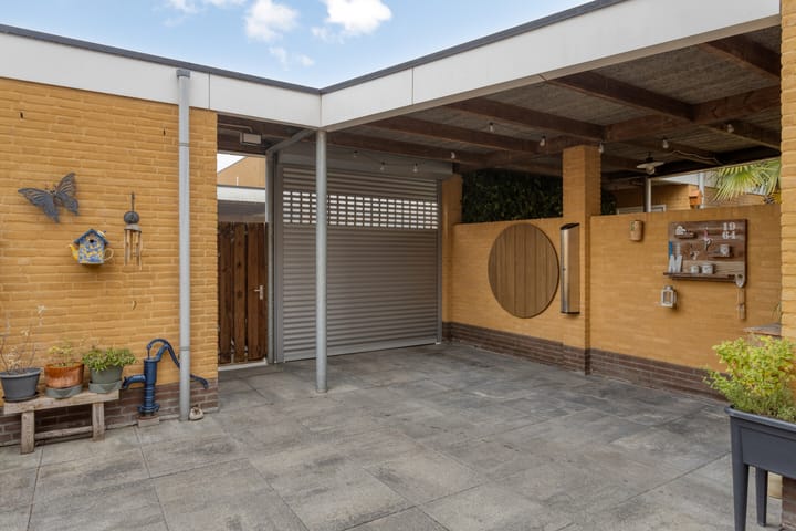 Photo 44 of Grasfonteinkruid 11