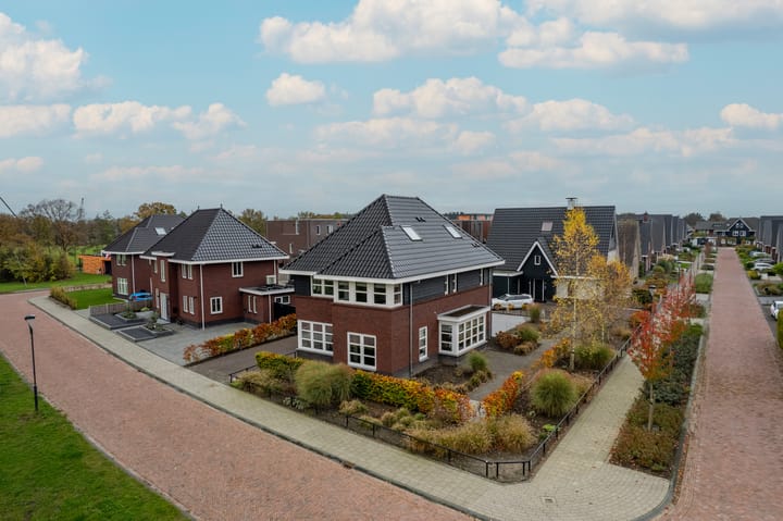 Photo 7 of Zilverschoon 80