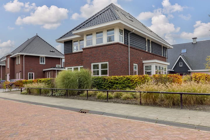 Photo 6 of Zilverschoon 80