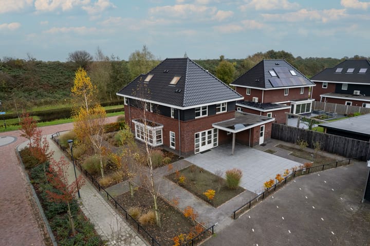 Photo 8 of Zilverschoon 80