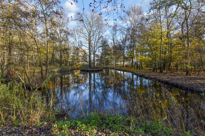 Foto 41 van Bellinistraatje 10