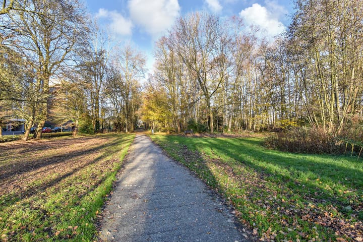 Foto 43 van Bellinistraatje 10