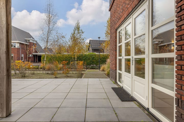 Photo 55 of Zilverschoon 80