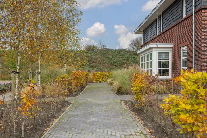 Photo 60 of Zilverschoon 80