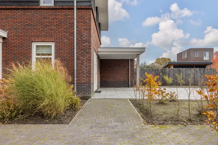 Photo 61 of Zilverschoon 80