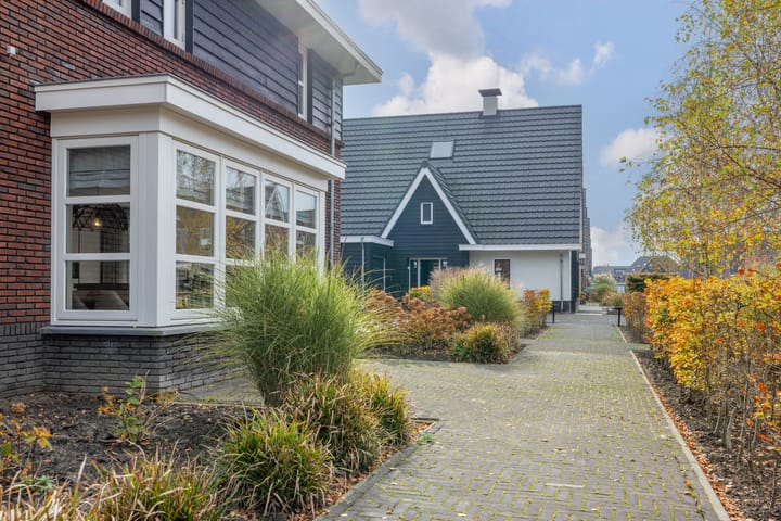 Photo 62 of Zilverschoon 80