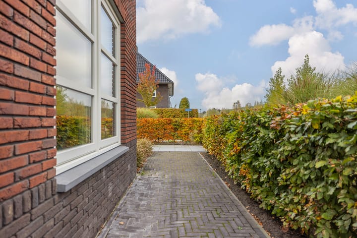 Photo 63 of Zilverschoon 80