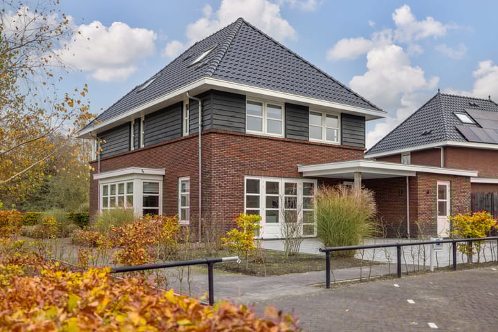 Photo 64 of Zilverschoon 80