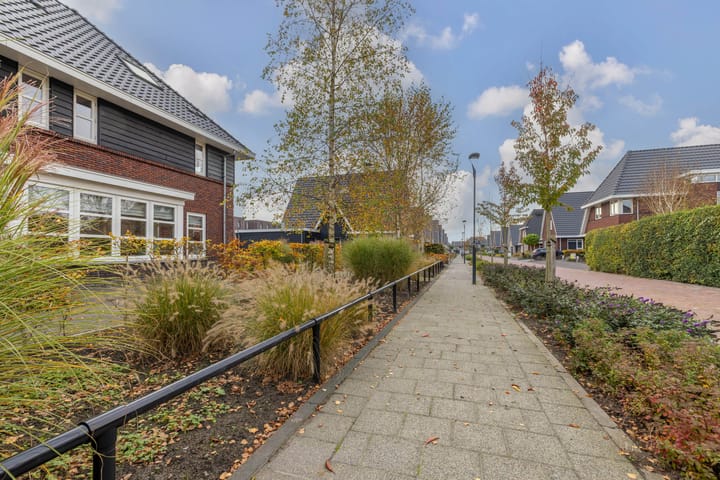 Photo 65 of Zilverschoon 80