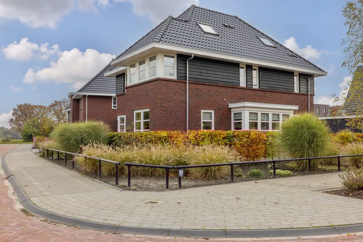 Photo 66 of Zilverschoon 80