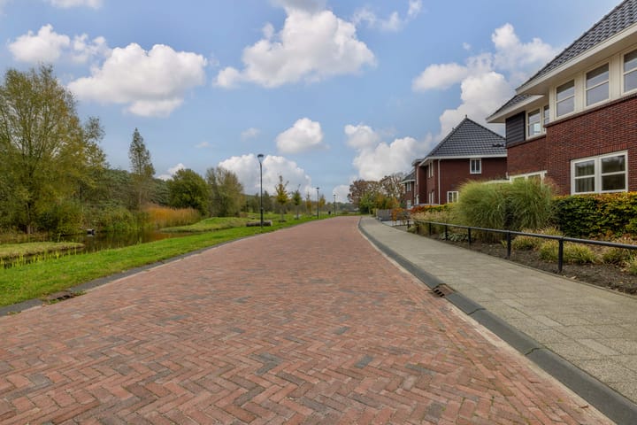 Photo 68 of Zilverschoon 80