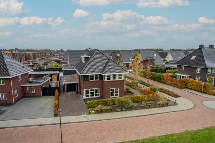 Photo 70 of Zilverschoon 80