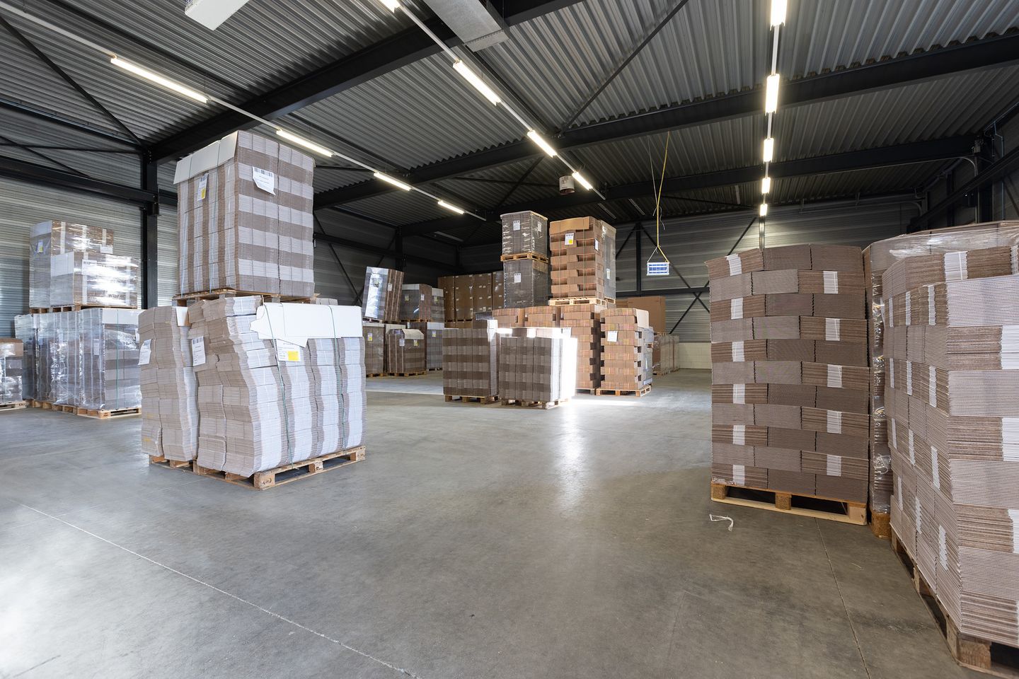 Bekijk foto 5 van Steinkampsweg 6