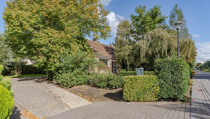 Foto 2 van Tuinbouwweg 15