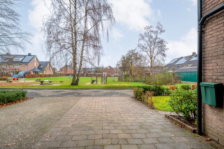 Foto 5 van Heideanjer 47