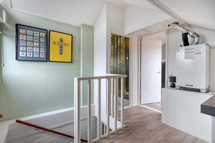 Foto 36 van Heideanjer 47