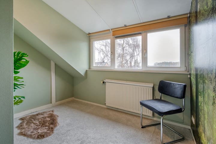 Foto 38 van Heideanjer 47