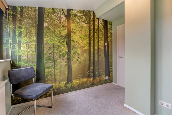 Foto 39 van Heideanjer 47