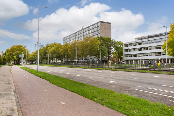 Foto 23 van Eisenhowerlaan 34