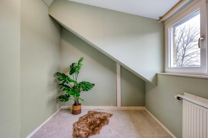 Foto 42 van Heideanjer 47