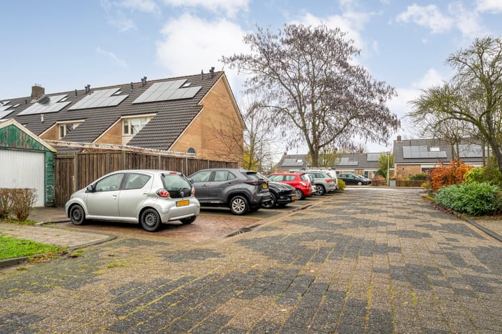 Foto 45 van Heideanjer 47