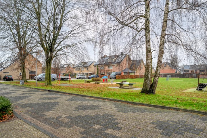 Foto 46 van Heideanjer 47