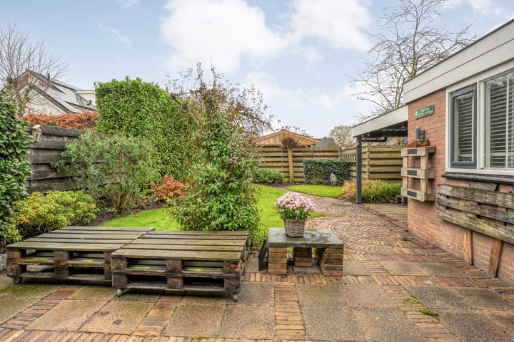 Foto 47 van Heideanjer 47