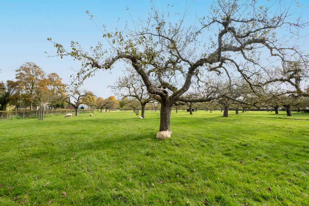 Foto 37 van Veldoven 20