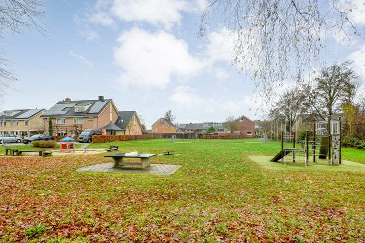 Foto 55 van Heideanjer 47