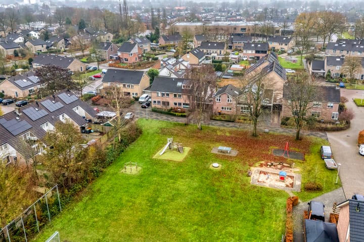 Foto 56 van Heideanjer 47