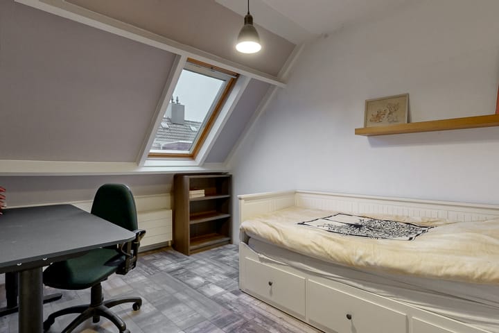 Foto 12 van Paardebloem 66