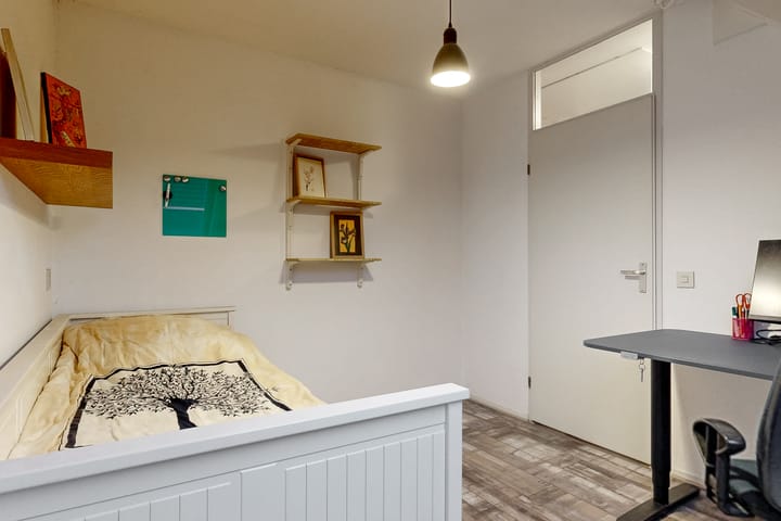 Foto 13 van Paardebloem 66