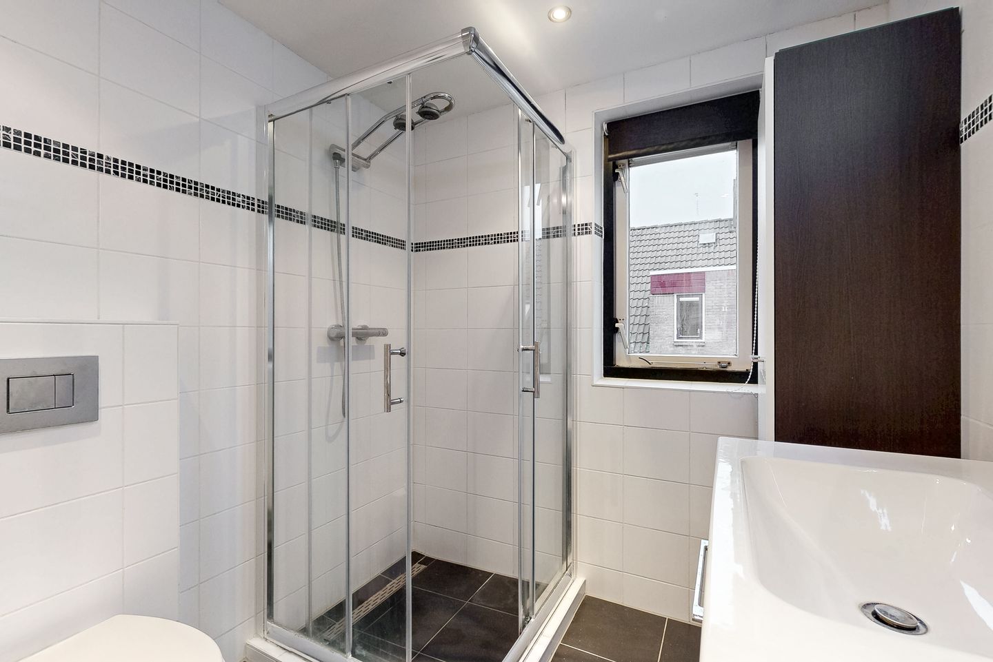 Foto 14 van Paardebloem 66