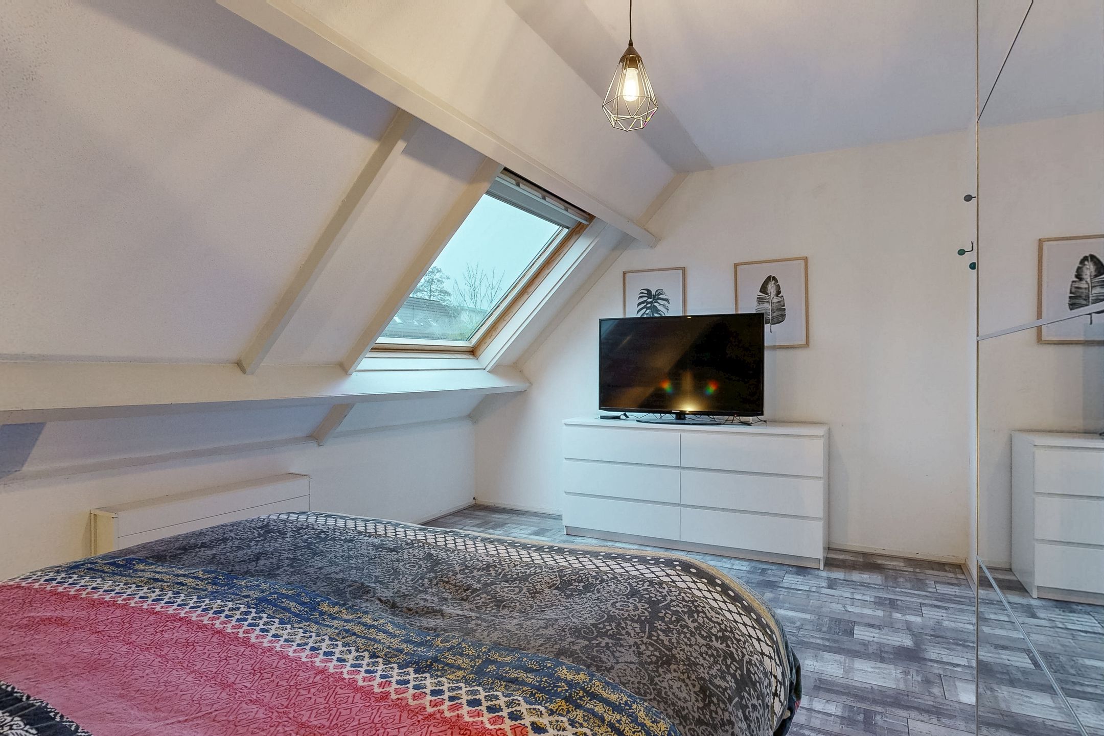 Foto 18 van Paardebloem 66