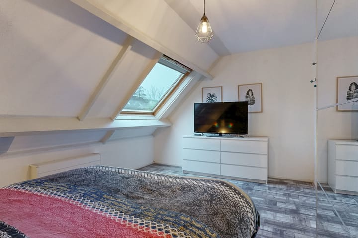 Foto 18 van Paardebloem 66