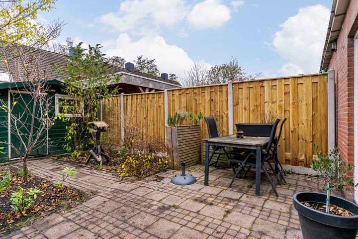 Foto 20 van Paardebloem 66