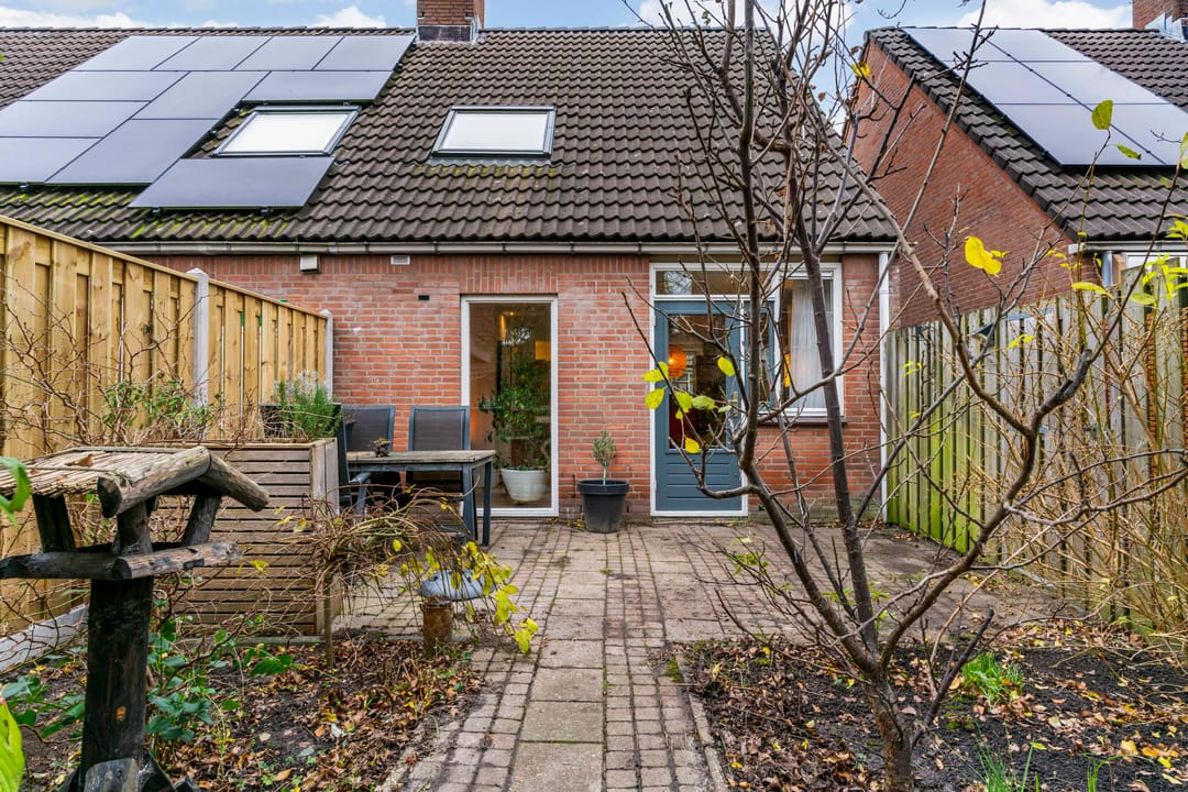 Foto 22 van Paardebloem 66