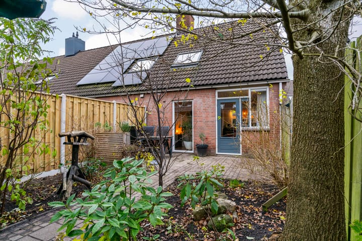 Foto 23 van Paardebloem 66