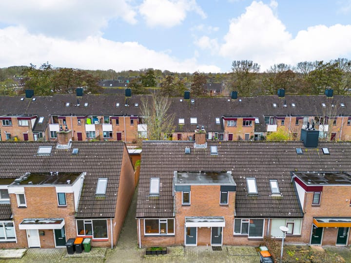 Foto 25 van Paardebloem 66