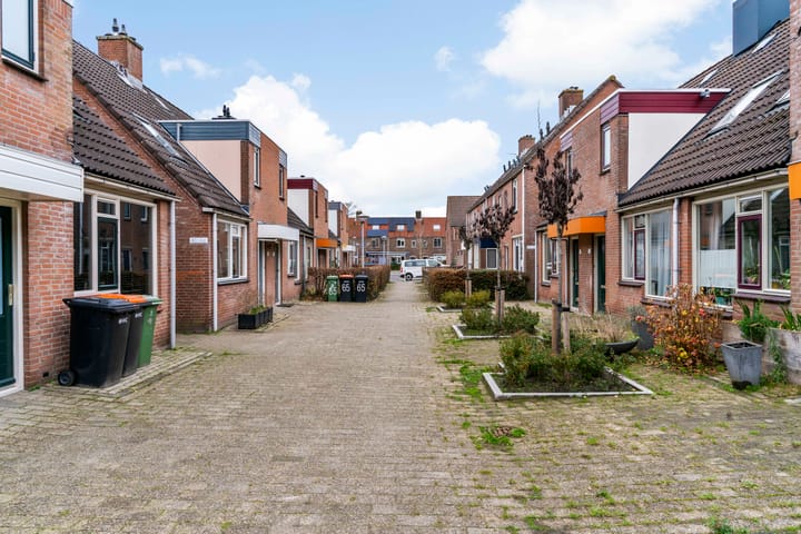 Foto 26 van Paardebloem 66